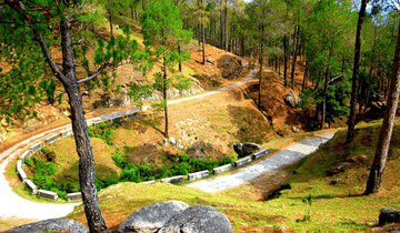 Ranikhet